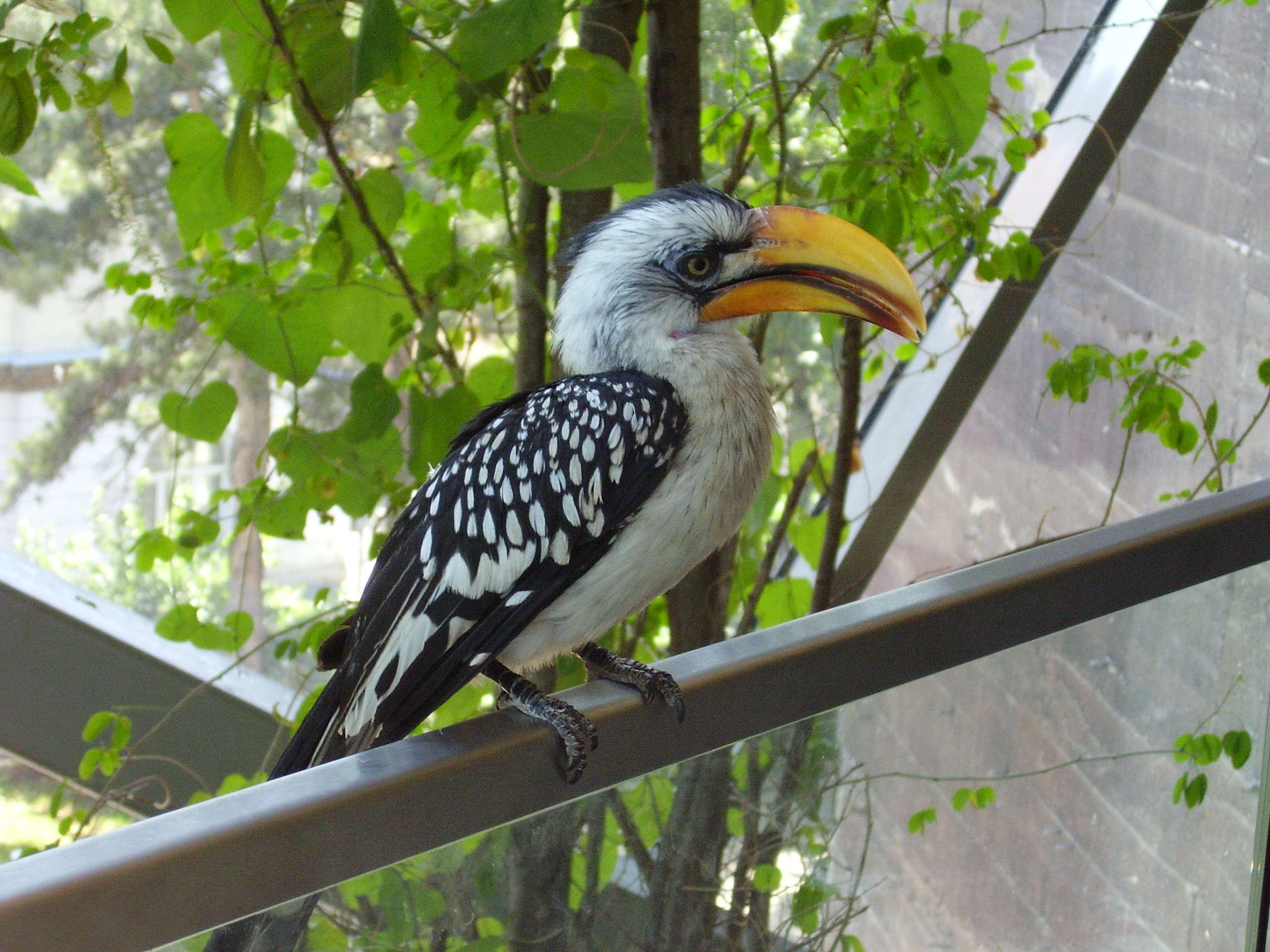 Viedeň2008 020.jpg
